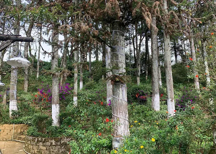 Sapa Garden Retreat